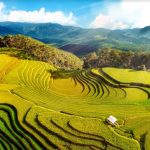 Đăng ký phần mềm hóa đơn điện tử Yên Bái Viettel SInvoice